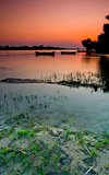 A_D_Romania_800037_Dorian__Hodorogea_Boats_of_silence.jpg