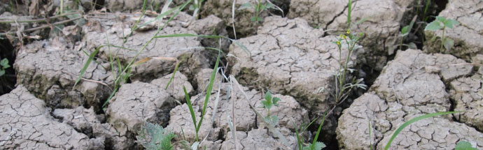 Dried up bed of Selenec stream, 2012, Slovakia, © GWP CEE