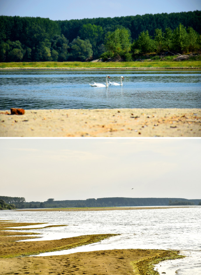 a beach next to a body of water