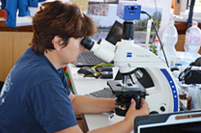 a woman sitting at a desk and looking through a microscope