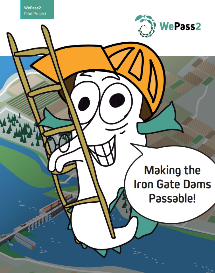 Cover image for brochure with a drawing of a sturgeon talking about passing through the dams